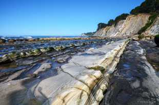 Bowling Ball Beach-2196